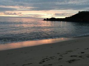certain beach in Maui