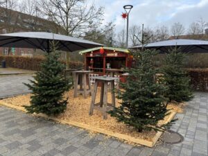 クリスマスシーズンの大学の構内